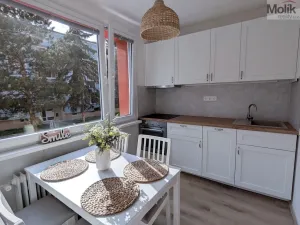 Pronájem bytu 2+kk, Duchcov, V Domkách, 36 m2