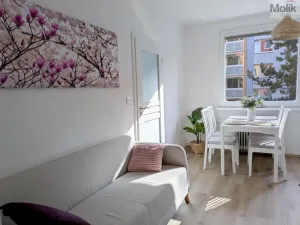 Pronájem bytu 2+kk, Duchcov, V Domkách, 36 m2