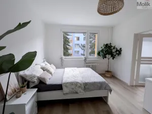 Pronájem bytu 2+kk, Duchcov, V Domkách, 36 m2