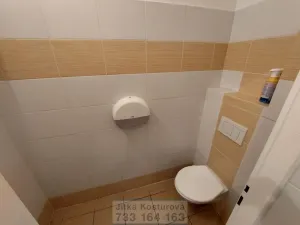 Pronájem bytu 1+1, Krnov - Pod Bezručovým vrchem, Revoluční, 32 m2