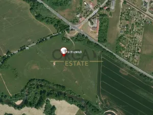 Prodej louky, Třebechovice pod Orebem, 4201 m2