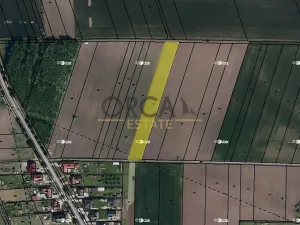 Prodej pole, Jevišovka, 4245 m2