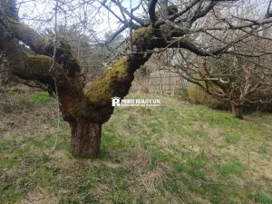 Prodej chaty, Hronov, 20 m2