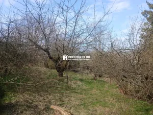 Prodej chaty, Hronov, 20 m2