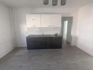 Pronájem bytu 2+1, Ústí nad Labem - Střekov, Pionýrů, 65 m2