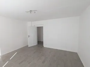 Pronájem bytu 2+1, Ústí nad Labem - Střekov, Pionýrů, 65 m2