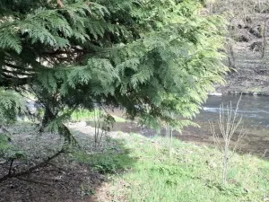 Prodej chaty, Brno - Obřany, 50 m2