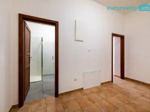 Pronájem bytu 3+kk, Luby, Revoluční, 58 m2