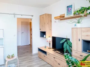 Prodej bytu 2+1, Moravský Krumlov, 54 m2