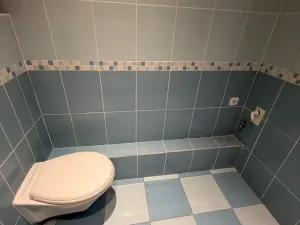 Prodej bytu 3+1, Most, Františka Malíka, 68 m2