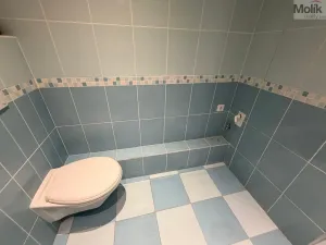 Prodej bytu 3+1, Most, Františka Malíka, 68 m2