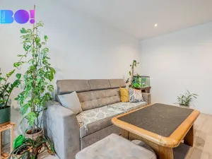 Prodej bytu 2+1, Karviná, Olbrachtova, 60 m2