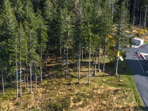 Prodej bytu 1+kk, Abertamy, Plešivecká, 45 m2