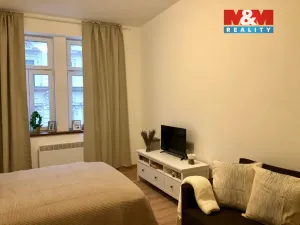 Pronájem bytu 1+1, Praha - Žižkov, Řehořova, 34 m2