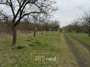 Prodej pozemku, Hroznová Lhota, 2997 m2