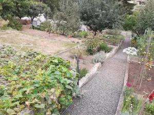 Prodej zahrady, Klášterec nad Ohří - Mikulovice, 302 m2