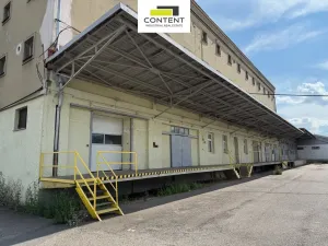 Pronájem výrobních prostor, Kostěnice, 3000 m2