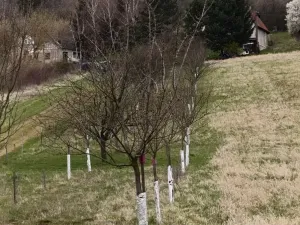 Prodej zahrady, Uherský Brod, 899 m2