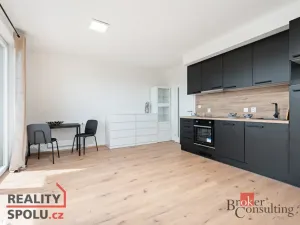 Pronájem bytu 1+kk, Heřmanova Huť - Vlkýš, U Pondu, 35 m2