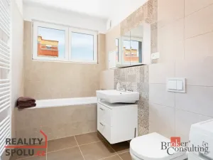 Pronájem bytu 1+kk, Heřmanova Huť - Vlkýš, U Pondu, 35 m2