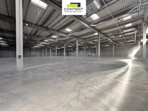 Pronájem výrobních prostor, Údlice, Droužkovická, 5000 m2
