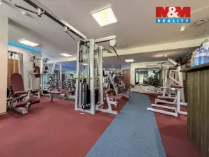 Prodej obchodního prostoru, Praha - Smíchov, Kobrova, 276 m2