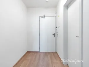 Pronájem bytu 1+kk, Praha - Vysočany, Gerstelova, 33 m2