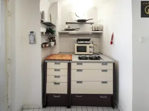 Pronájem bytu 2+1, Slaný, Štechova, 61 m2