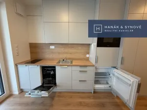 Pronájem bytu 1+kk, Brno, Koliště, 22 m2