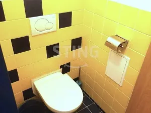 Pronájem bytu 2+kk, Pardubice, Studánecká, 60 m2