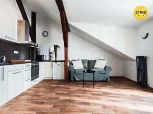 Pronájem bytu 1+kk, Jihlava, Husova, 40 m2