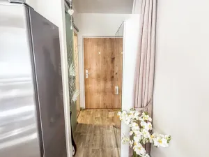 Prodej bytu 1+1, Varnsdorf, Čelakovická, 45 m2