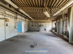 Prodej výrobních prostor, Hrušovany nad Jevišovkou, Rudé armády, 12000 m2