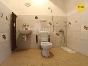 Prodej bytu 1+kk, Hrabyně, 42 m2