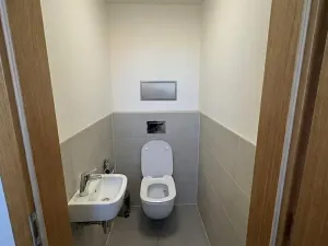 Pronájem pokoje, Praha - Holešovice, Kouteckého, 15 m2