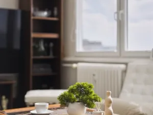 Prodej bytu 3+1, Hradec Králové - Pražské Předměstí, Gebauerova, 71 m2