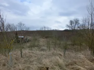 Prodej zahrady, Kunovice, 878 m2