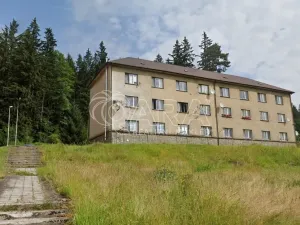 Prodej bytu 2+1, Loučovice, 75 m2