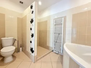 Pronájem bytu 1+1, Bílina, Seifertova, 57 m2