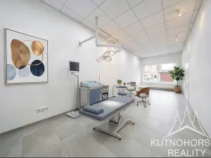 Prodej komerční nemovitosti, Kutná Hora, Zvěřinova, 318 m2