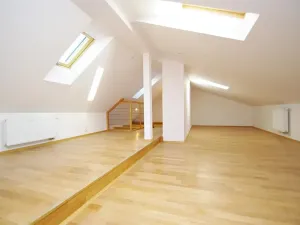 Pronájem bytu 3+1, Praha - Vinohrady, Mánesova, 120 m2