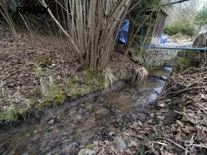 Prodej pozemku pro bydlení, Jindřichov, 1620 m2