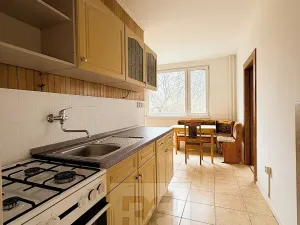 Pronájem bytu 3+1, Ústí nad Labem, SNP, 66 m2