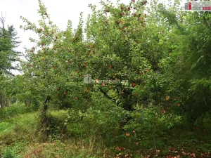 Prodej zahrady, Dobrovice, 636 m2