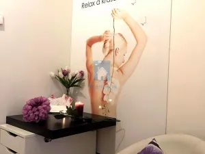 Pronájem komerční nemovitosti, Praha, Ostrovského, 15 m2