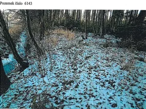 Prodej lesa, Tis, 906 m2