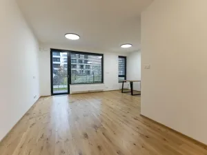 Pronájem bytu 1+kk, Praha - Nusle, Muzikova, 50 m2