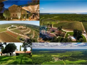 Prodej komerčního pozemku, Vodnjan,Chorvatsko, 16809800 m2