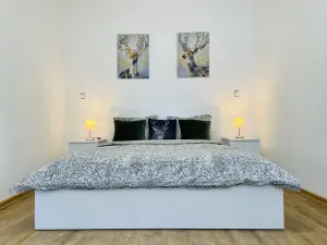 Pronájem bytu 2+1, Jihlava, Farní, 56 m2