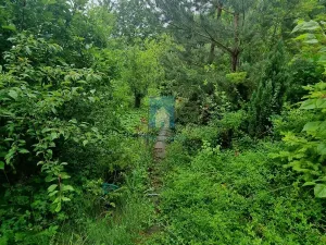 Prodej zahrady, Zdiby, Skopec, 527 m2